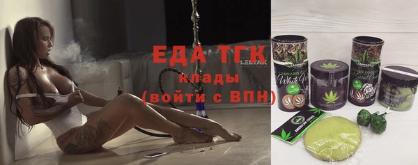индика Беломорск