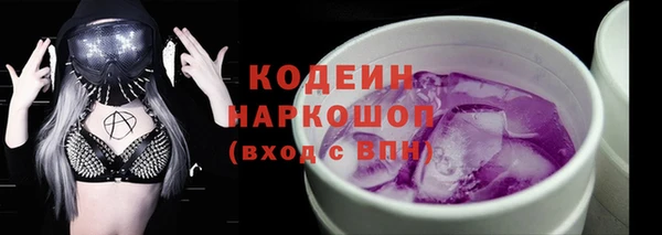 индика Беломорск