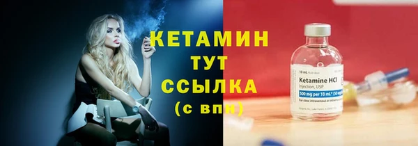 индика Беломорск