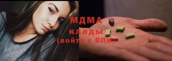 индика Беломорск