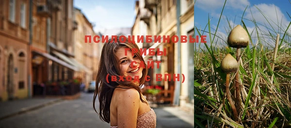 твердый Белоозёрский
