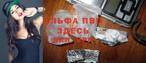 индика Беломорск