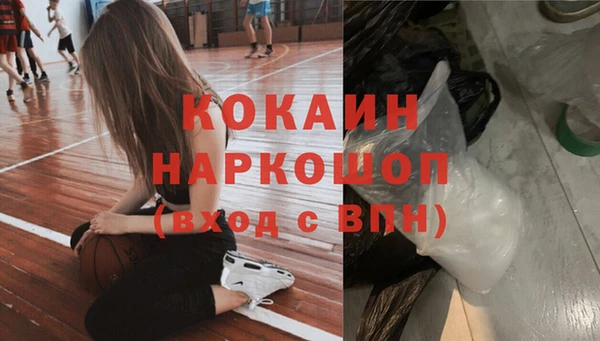индика Беломорск