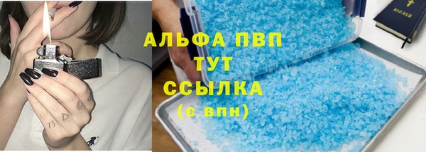 индика Беломорск