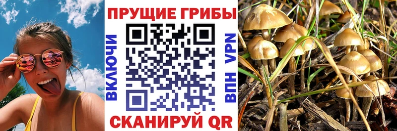 Галлюциногенные грибы мицелий  KRAKEN зеркало  Горняк 